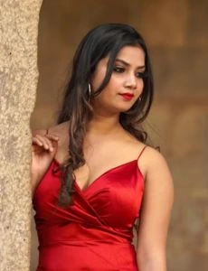 call girl service in Puliyankudi